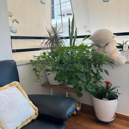 Spacious & Bright In Apartment