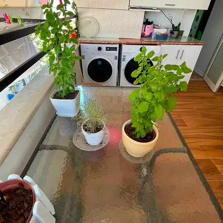 Apartment Spacious & Bright In Sarande